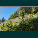 WhatsApp Image 2024-06-11 at 09.47.49(1).jpg